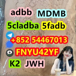 High quality 5cladba,5cladb,5cl powder, 5CL-ADB-A cas 2504100-70-1 precursor in stock