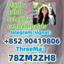 5CLADBA 5fadb Synthetic cannabinoid 5cladb-a adbb 5cl-adb-a