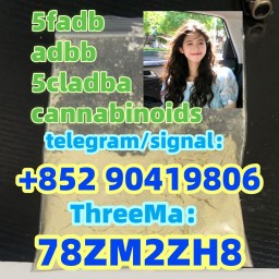 Strongest 5cladba raw material 5CL-ADB-A precursor raw