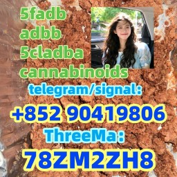 5cladba 5cladb 5cl-adb-a 5fadb Adbb Jwh-018 Best Price