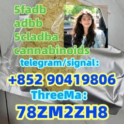 5cladba adbb raw material 5CL-ADB-A precursor jwh018 5fadb