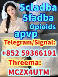 5cladba precursor Safest and fastest delivery
