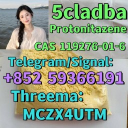 119276-01-6 Protonitazene (hydrochloride)