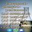 99% Purity 2-BroMovalerophenone CAS 49851-31-2 100% Pass Customs Door to Door 1