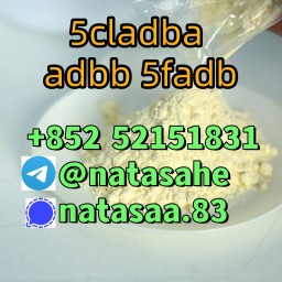 5cladba raw material 5CL-ADB-A precursor raw 5cladba 5f adb