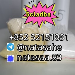 5cladba 5cl yellow powder 5cladba from best supplier