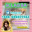 Premium 5CLADBA Precursor & Raw Material Supplier