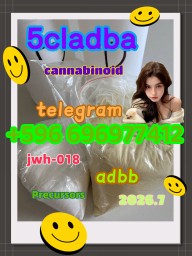 Premium 5CLADBA Precursor & Raw Material Supplier
