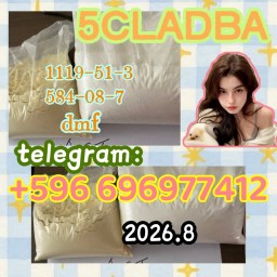 Premium 5CLADBA Precursor & Raw Material Supplier