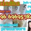 43120-28-1 5cladba precursor 1H-indazole-3-carboxylic