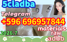 CAS 1119 - 51 - 3