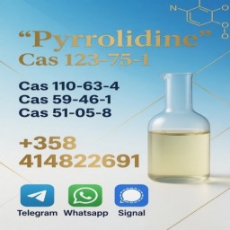 Cas 123-75-1 Pyrrolidine With Factory Price Safe Transportation Provide Pyrrolidine Sample