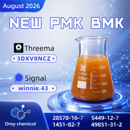 PMK Oil CAS 28578-16-7 Chemical Data