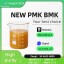 PMK CAS 28578-16-7 Complete Chemical Information
