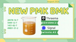 CAS 28578-16-7 PMK Oil Professional Chemical Company