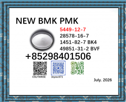 BMK CAS 5449-12-7 with PMK CAS 28578-16-7/1451-82-7 and 49851-31-2 in stock