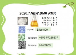 Available New PM.K cas 28578-16- 7 Chemical raw materials