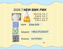 Factory Direct Supply CAS 28578-16-7 PMK Ethyl Glycidate Stable Supplier