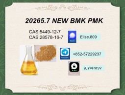 Express Air Shipping CAS 28578-16-7 PMK Ethyl Glycidate 5449-12-7