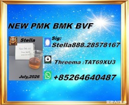 CAS 5449-12-7 and 28578-16-7 BMK 1451-82-7 49851-31-2 PMK with best price 