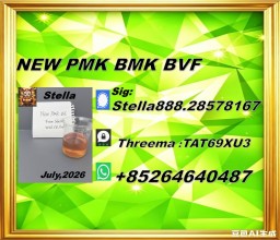 New PM.K 28578-16-7/ BM.K CAS:5449-12-7/ Industrial Organic Compound