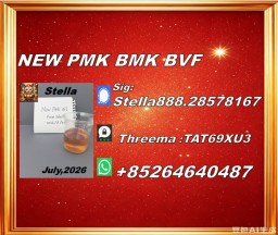 New PM.K 28578-16-7/ BM.K CAS:5449-12-7/ Custom Synthesis Material