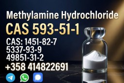 Experienced Supplier CAS 593-51-1 High Quality Best Price Fast Delivery