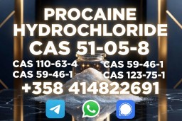 Procaine 59-46-1 – Anesthetic for Various Surgical Procedures